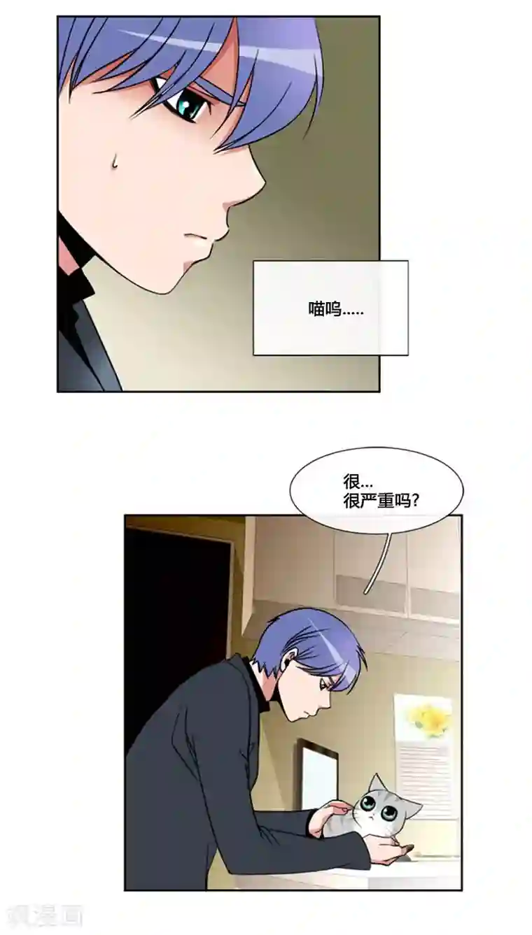 ICE-Cold要员的捡猫事件第77话