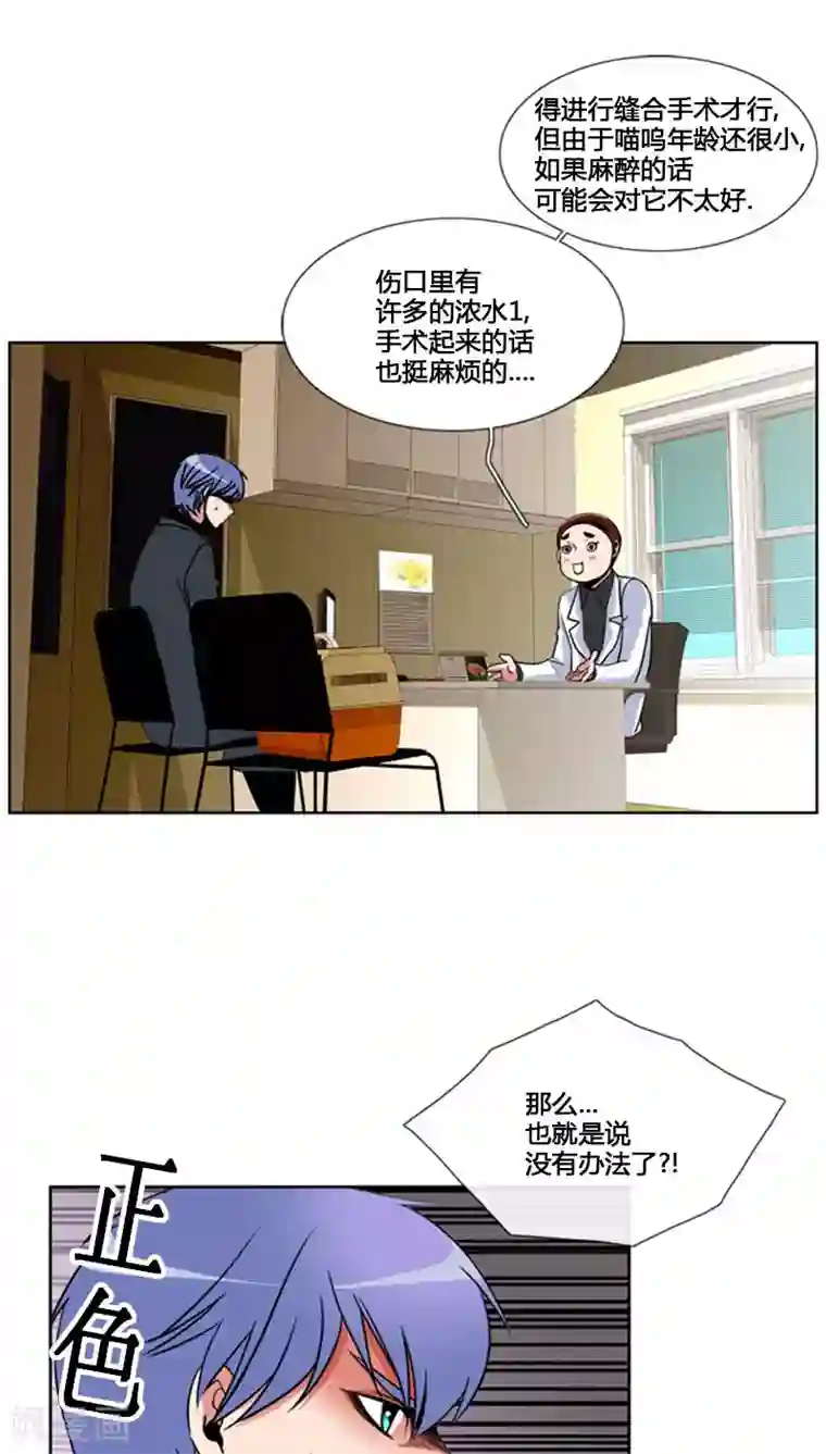 ICE-Cold要员的捡猫事件第77话