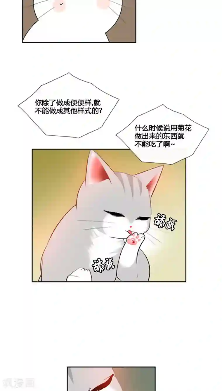 ICE-Cold要员的捡猫事件第77话