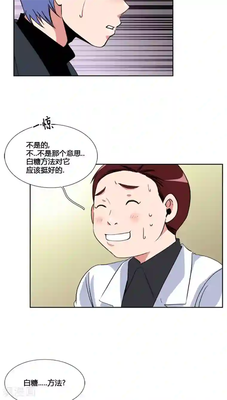 ICE-Cold要员的捡猫事件第77话