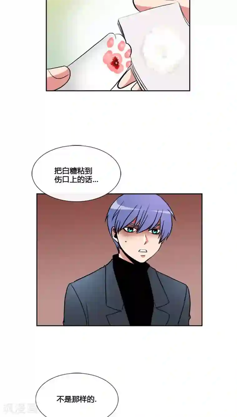 ICE-Cold要员的捡猫事件第77话