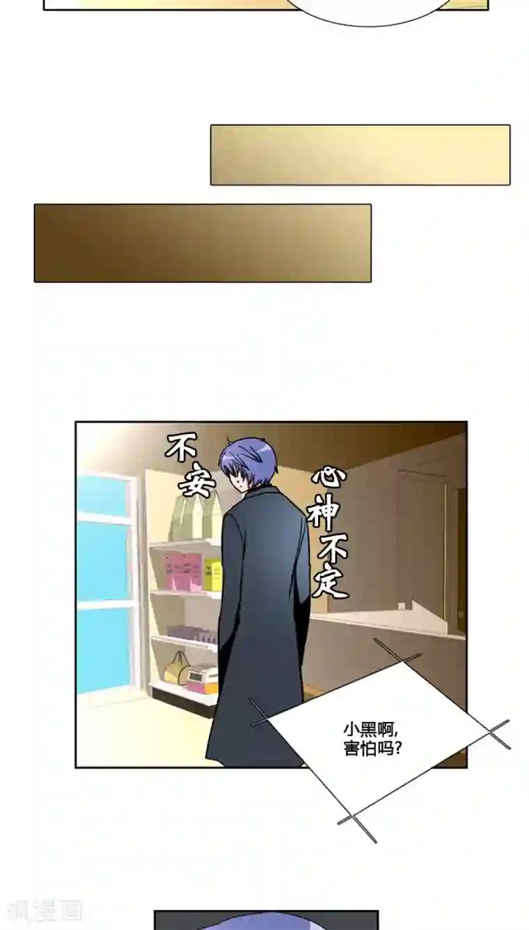 ICE-Cold要员的捡猫事件第77话