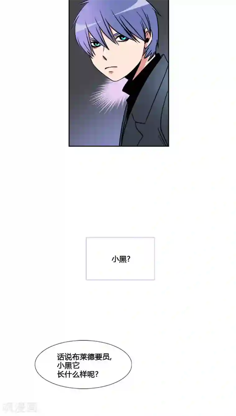 ICE-Cold要员的捡猫事件第77话