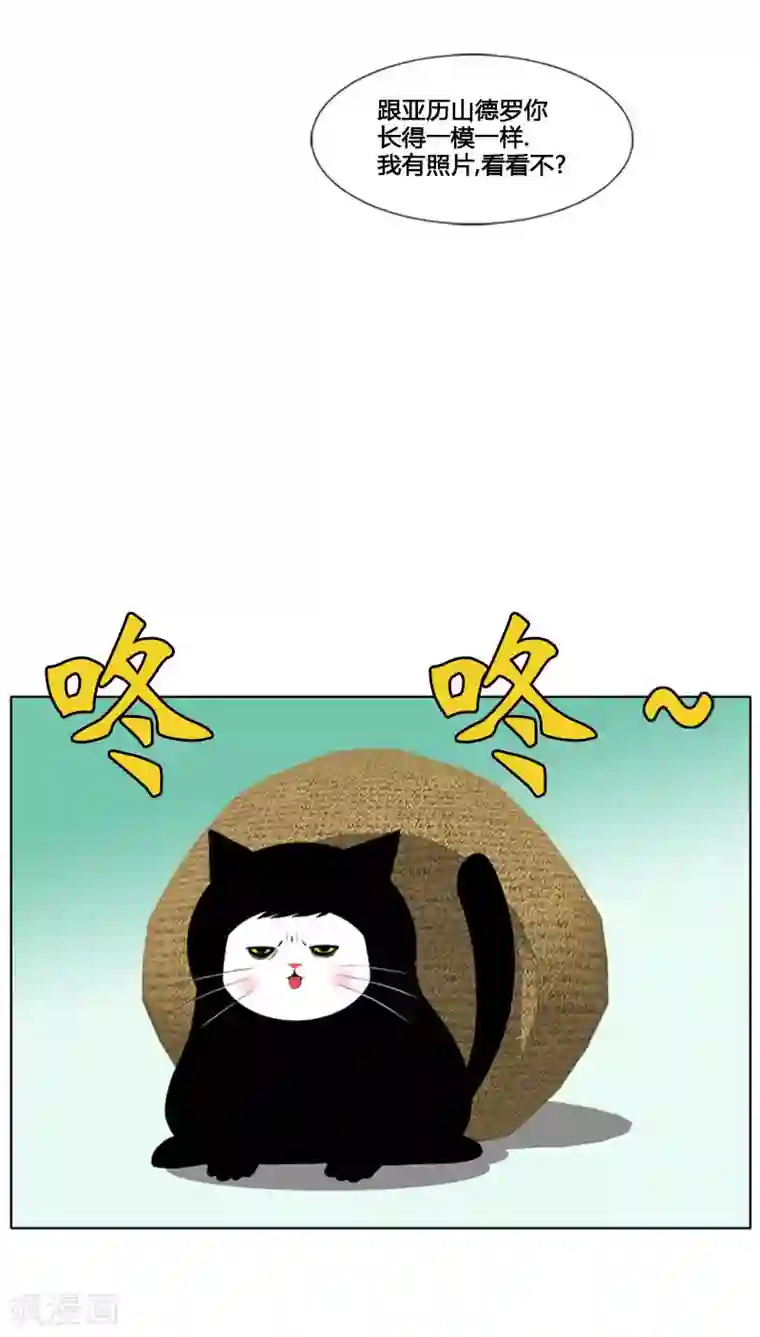 ICE-Cold要员的捡猫事件第77话