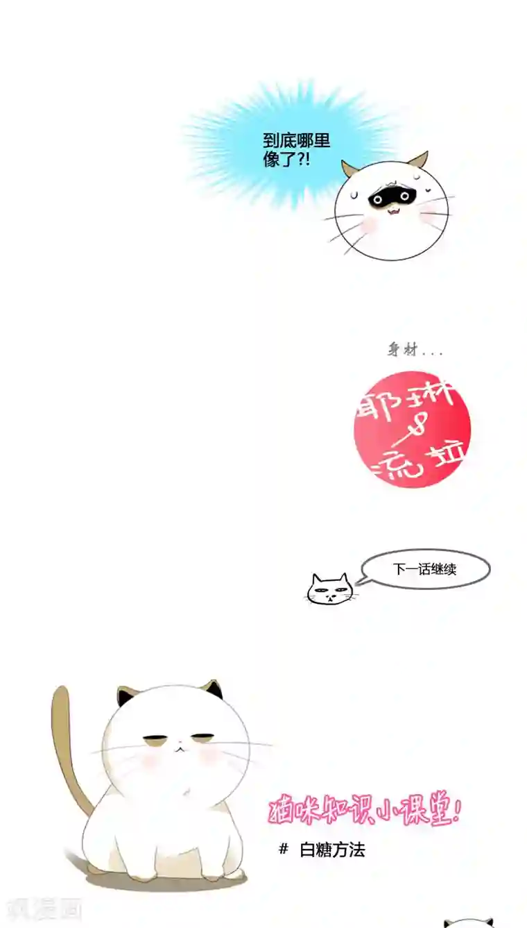 ICE-Cold要员的捡猫事件第77话