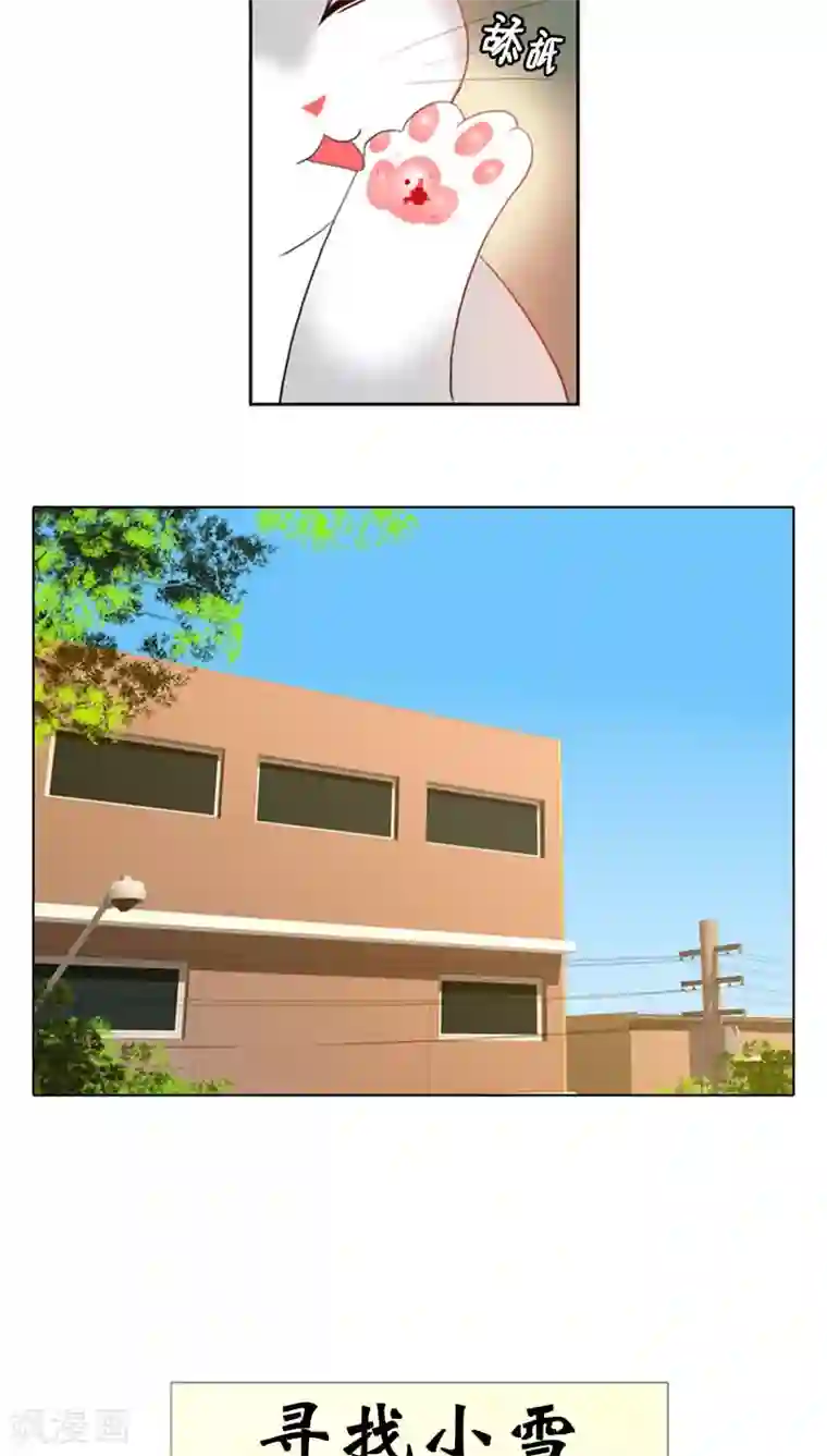 ICE-Cold要员的捡猫事件第77话