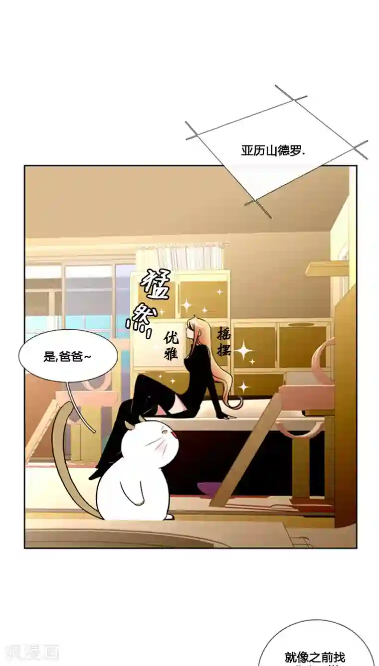 ICE-Cold要员的捡猫事件第77话