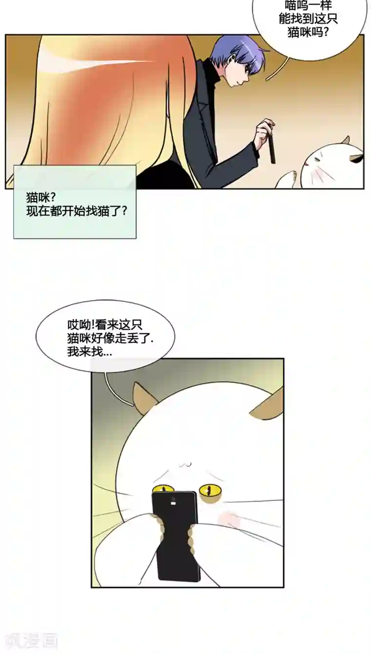 ICE-Cold要员的捡猫事件第77话