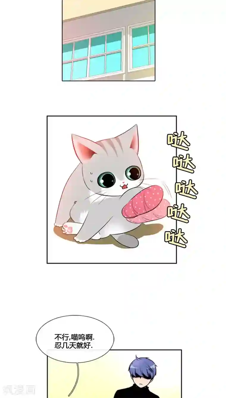 ICE-Cold要员的捡猫事件第78话