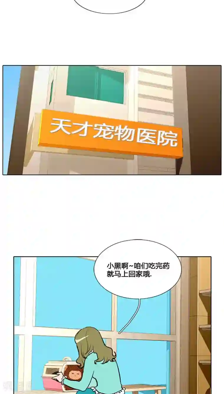 ICE-Cold要员的捡猫事件第78话