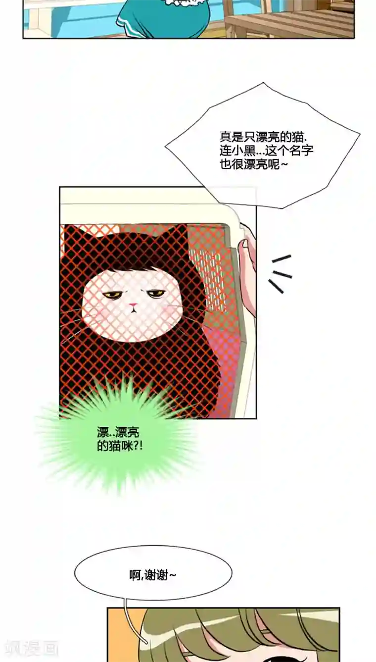 ICE-Cold要员的捡猫事件第78话