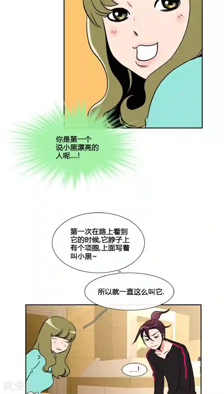 ICE-Cold要员的捡猫事件第78话