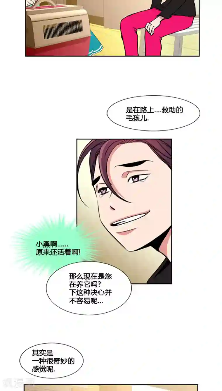 ICE-Cold要员的捡猫事件第78话