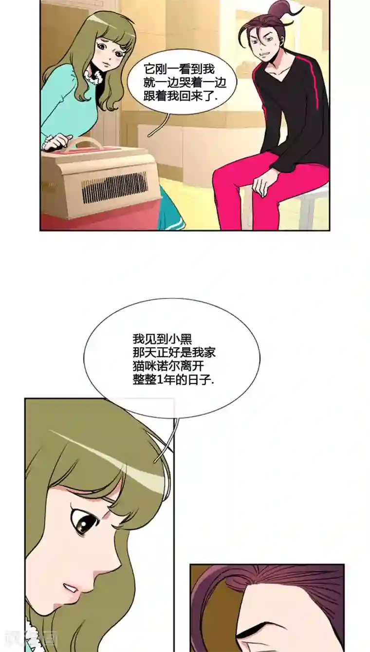 ICE-Cold要员的捡猫事件第78话