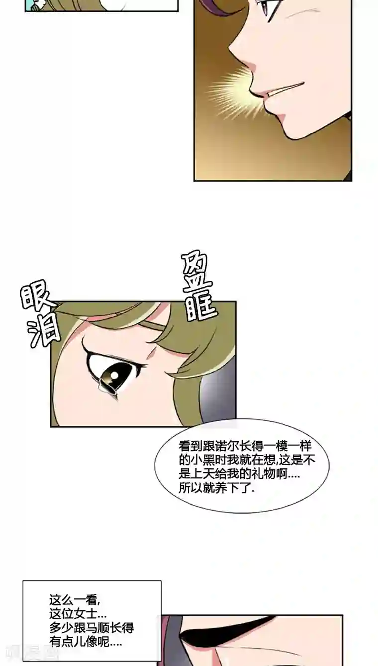 ICE-Cold要员的捡猫事件第78话