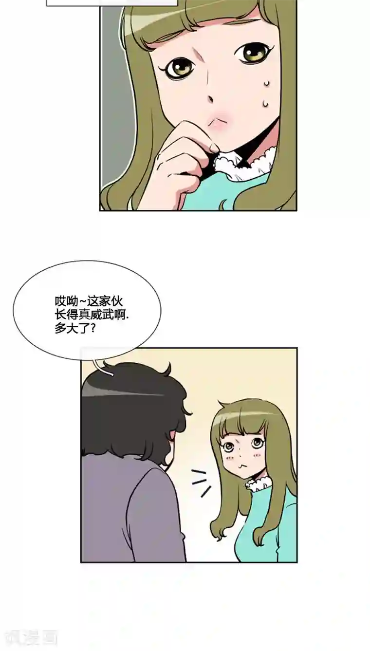 ICE-Cold要员的捡猫事件第78话