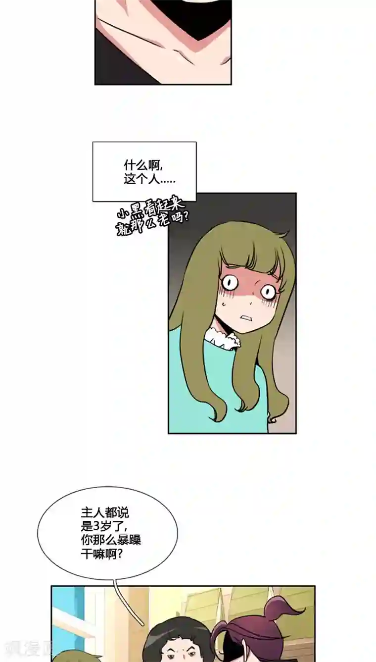 ICE-Cold要员的捡猫事件第78话