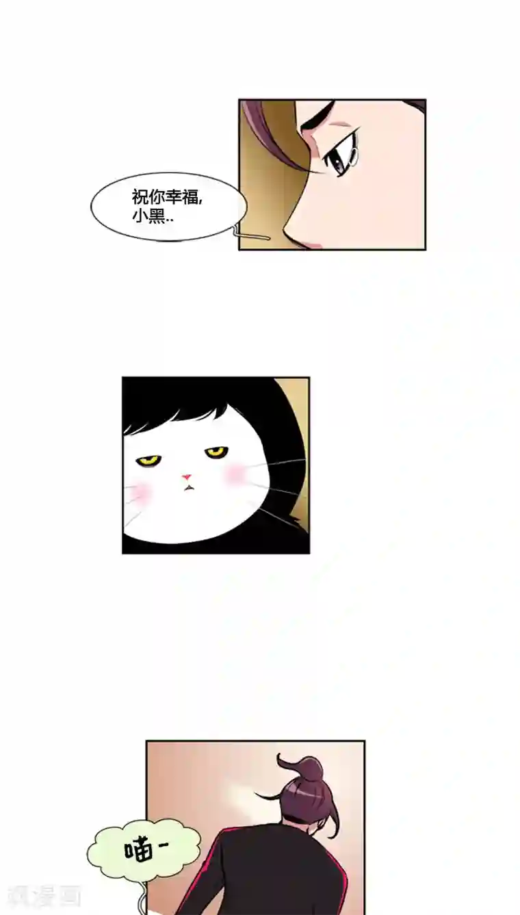 ICE-Cold要员的捡猫事件第78话