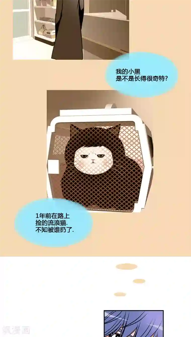 ICE-Cold要员的捡猫事件第78话