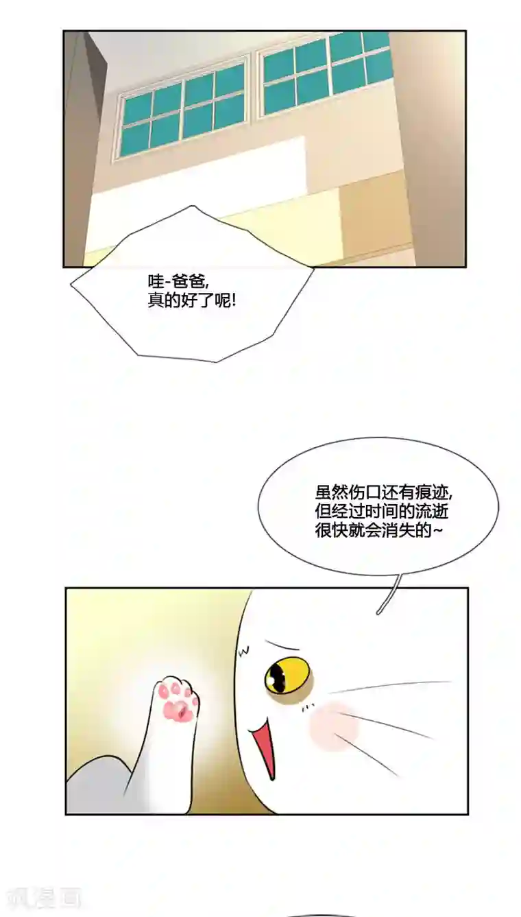 ICE-Cold要员的捡猫事件第78话