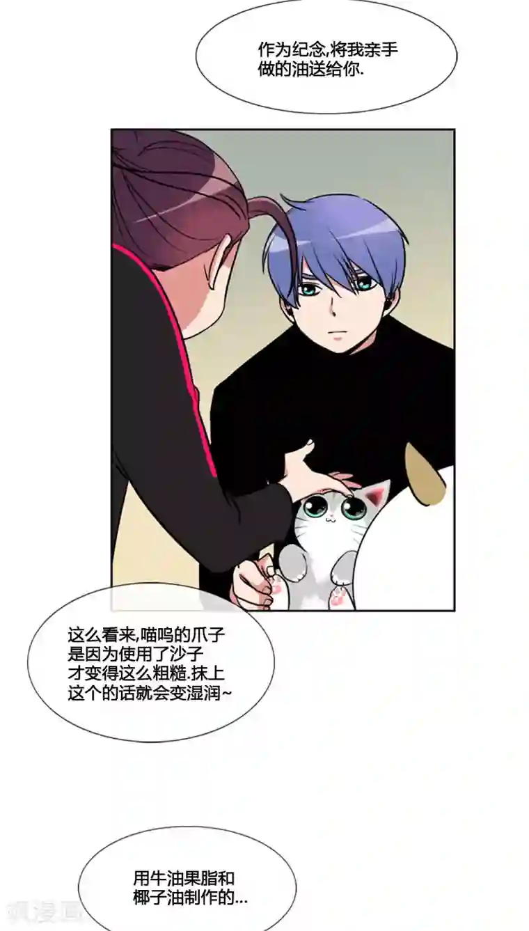 ICE-Cold要员的捡猫事件第78话