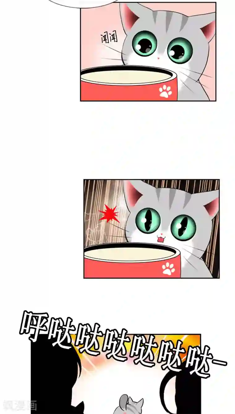 ICE-Cold要员的捡猫事件第78话