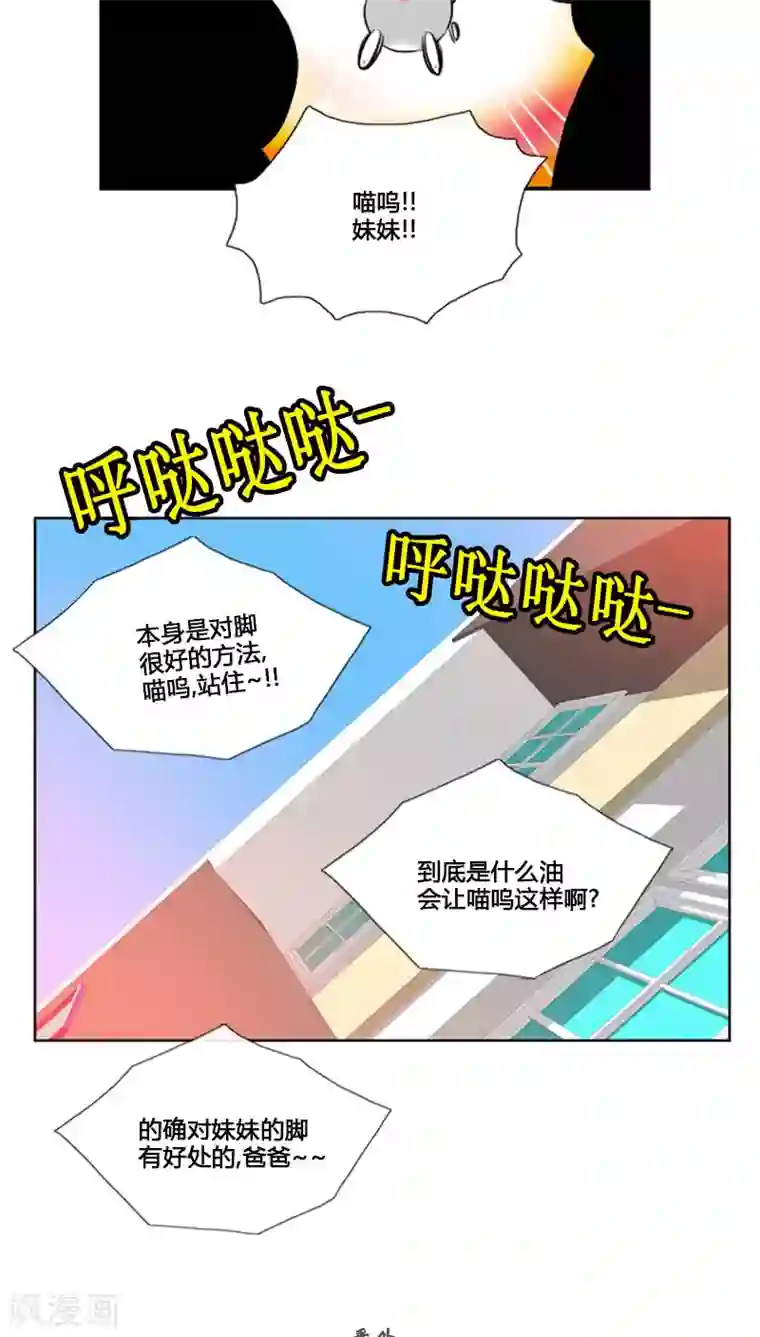 ICE-Cold要员的捡猫事件第78话