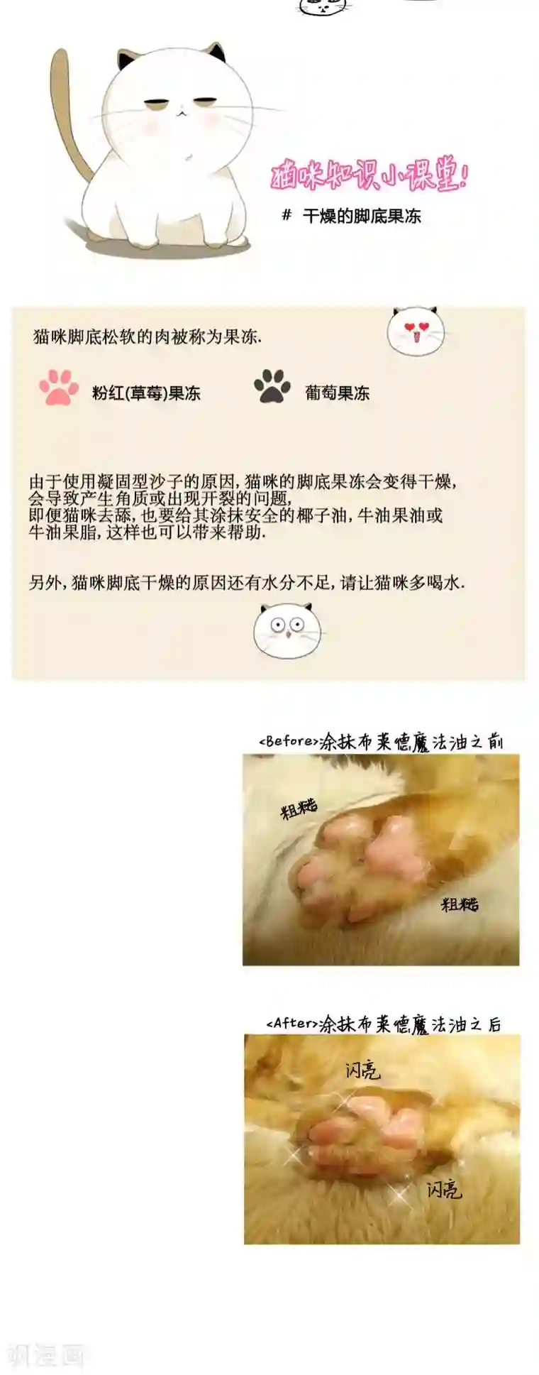 ICE-Cold要员的捡猫事件第78话