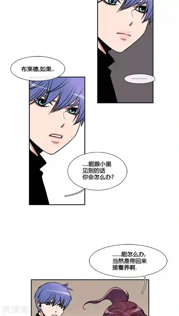 ICE-Cold要员的捡猫事件第78话