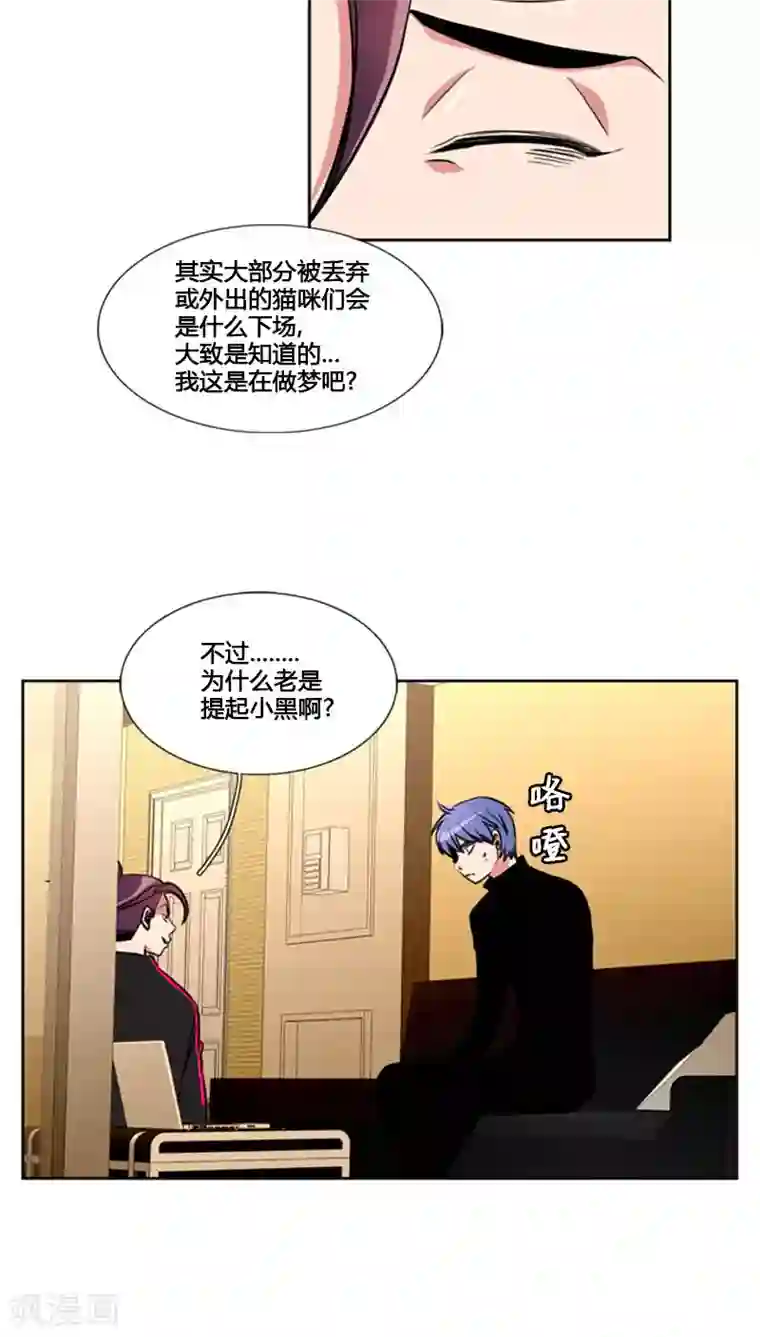 ICE-Cold要员的捡猫事件第78话