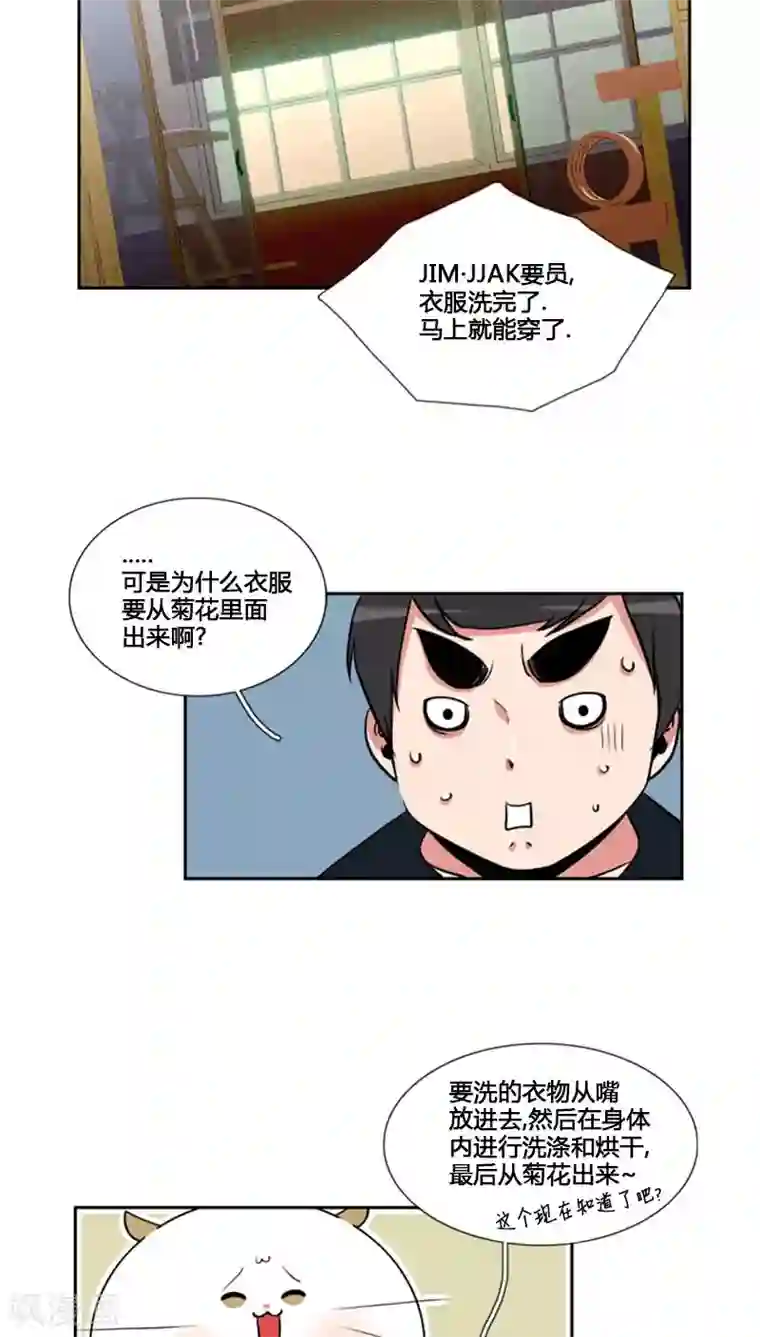 ICE-Cold要员的捡猫事件第79话