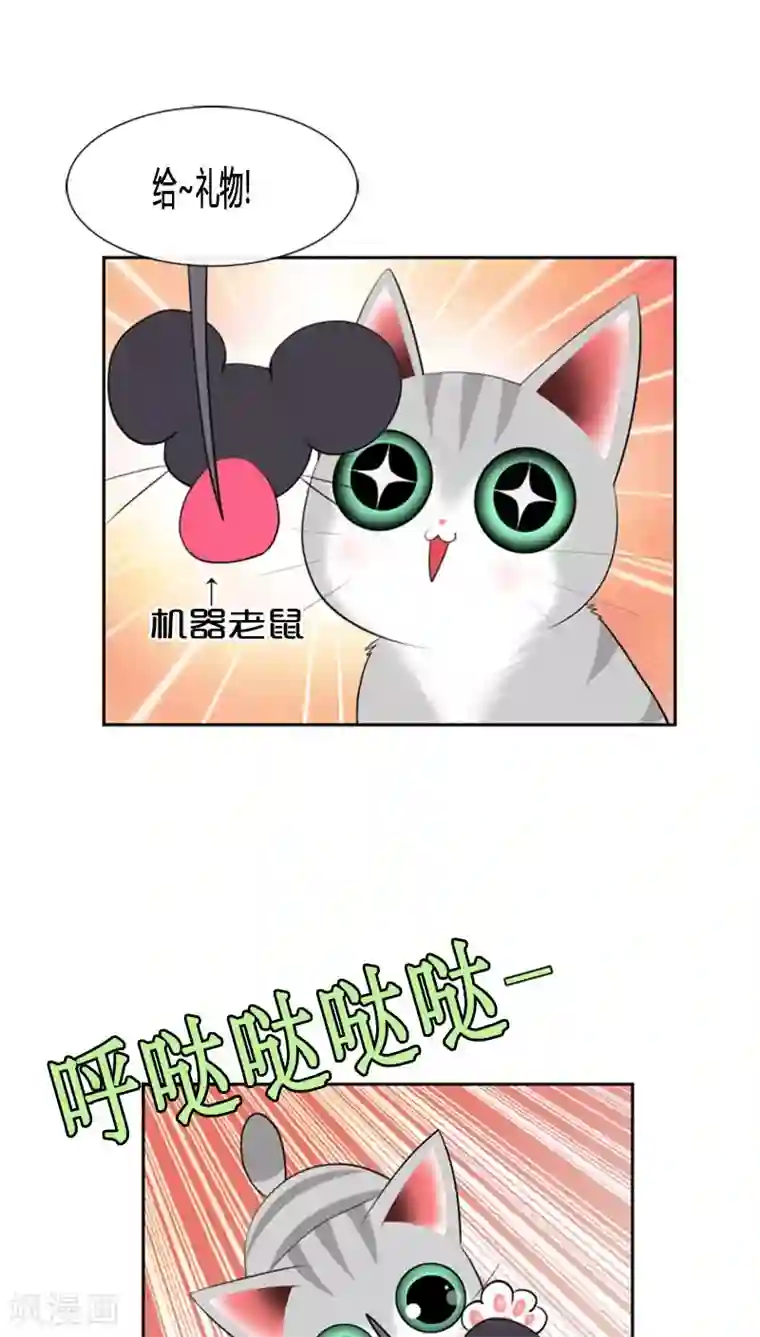 ICE-Cold要员的捡猫事件第79话