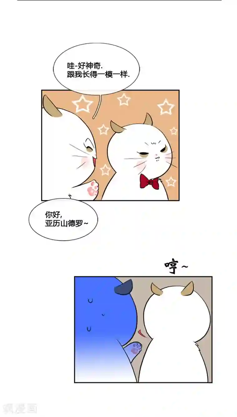 ICE-Cold要员的捡猫事件第79话