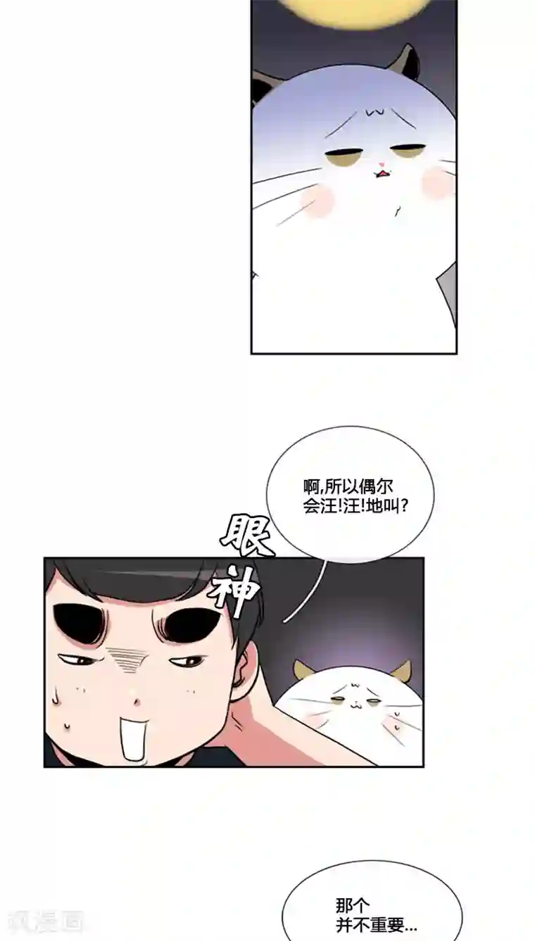 ICE-Cold要员的捡猫事件第79话