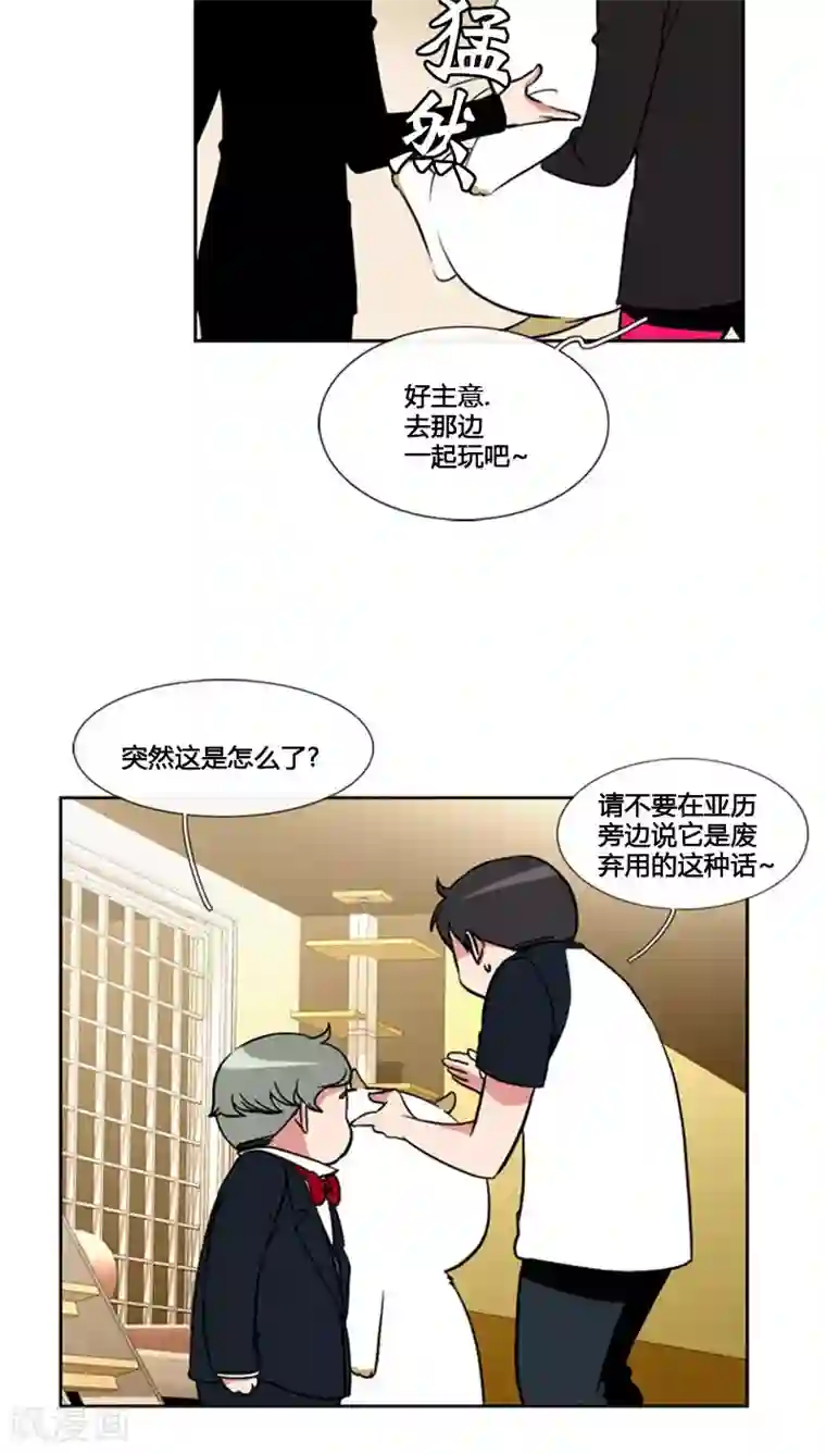 ICE-Cold要员的捡猫事件第79话