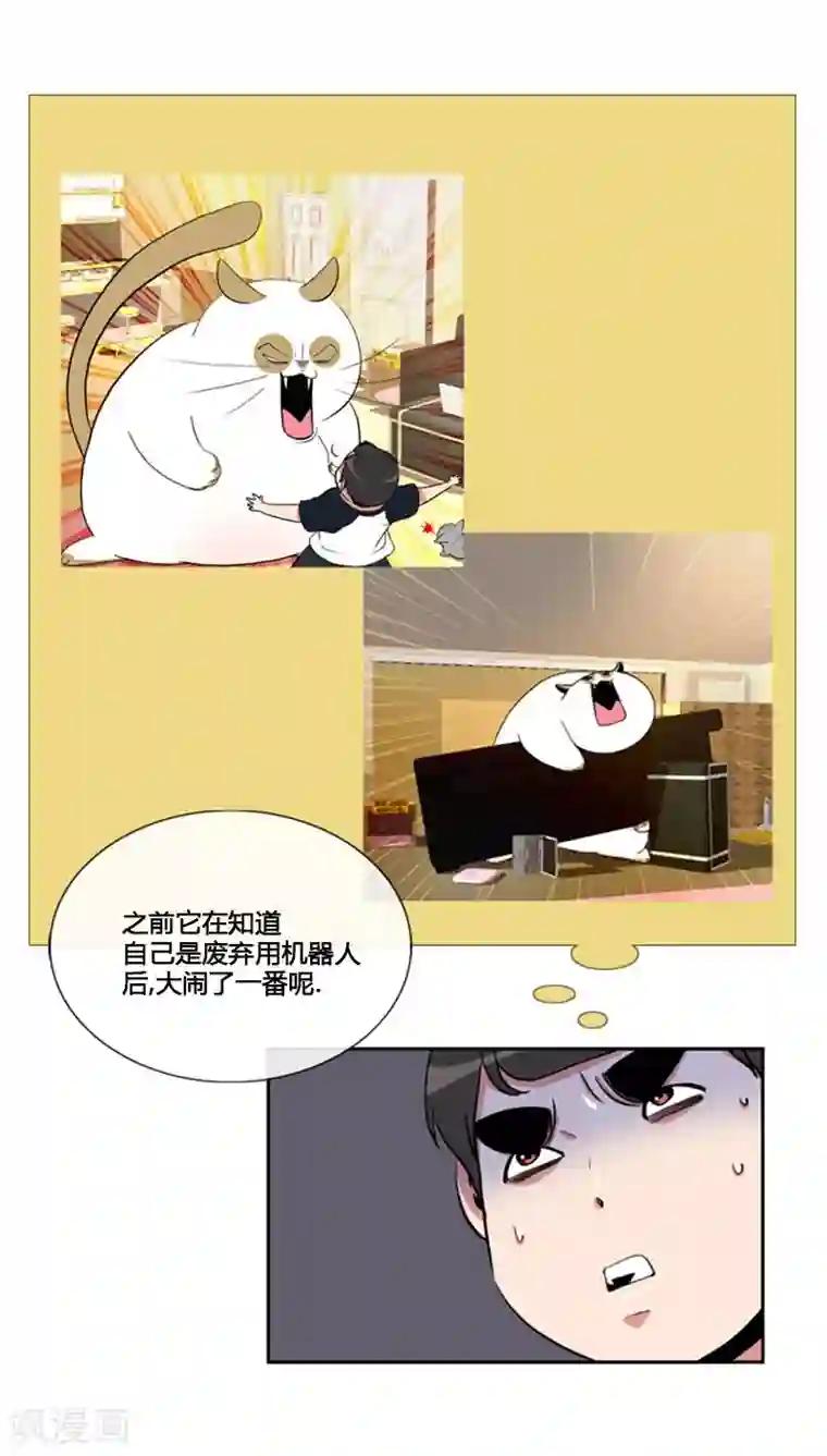 ICE-Cold要员的捡猫事件第79话