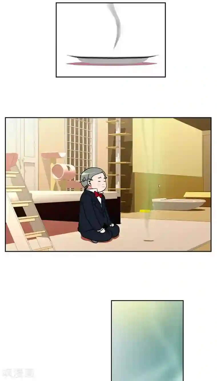 ICE-Cold要员的捡猫事件第79话