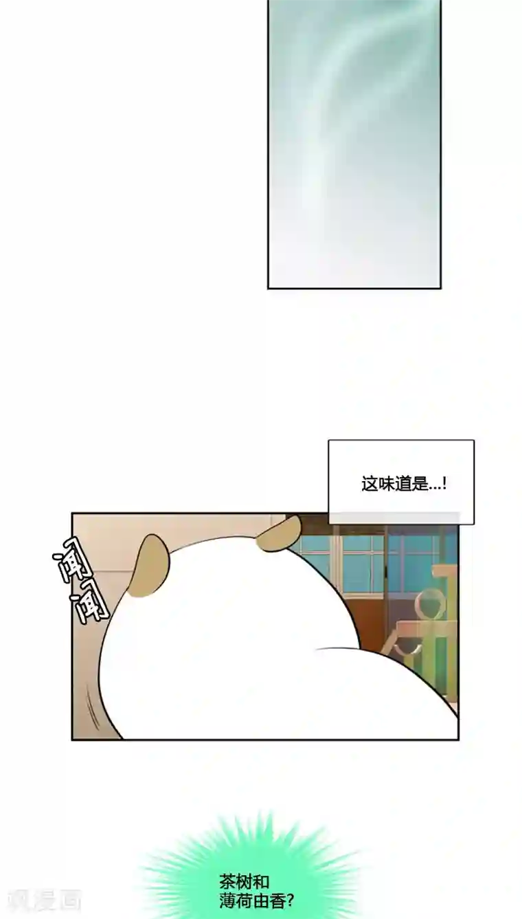 ICE-Cold要员的捡猫事件第79话