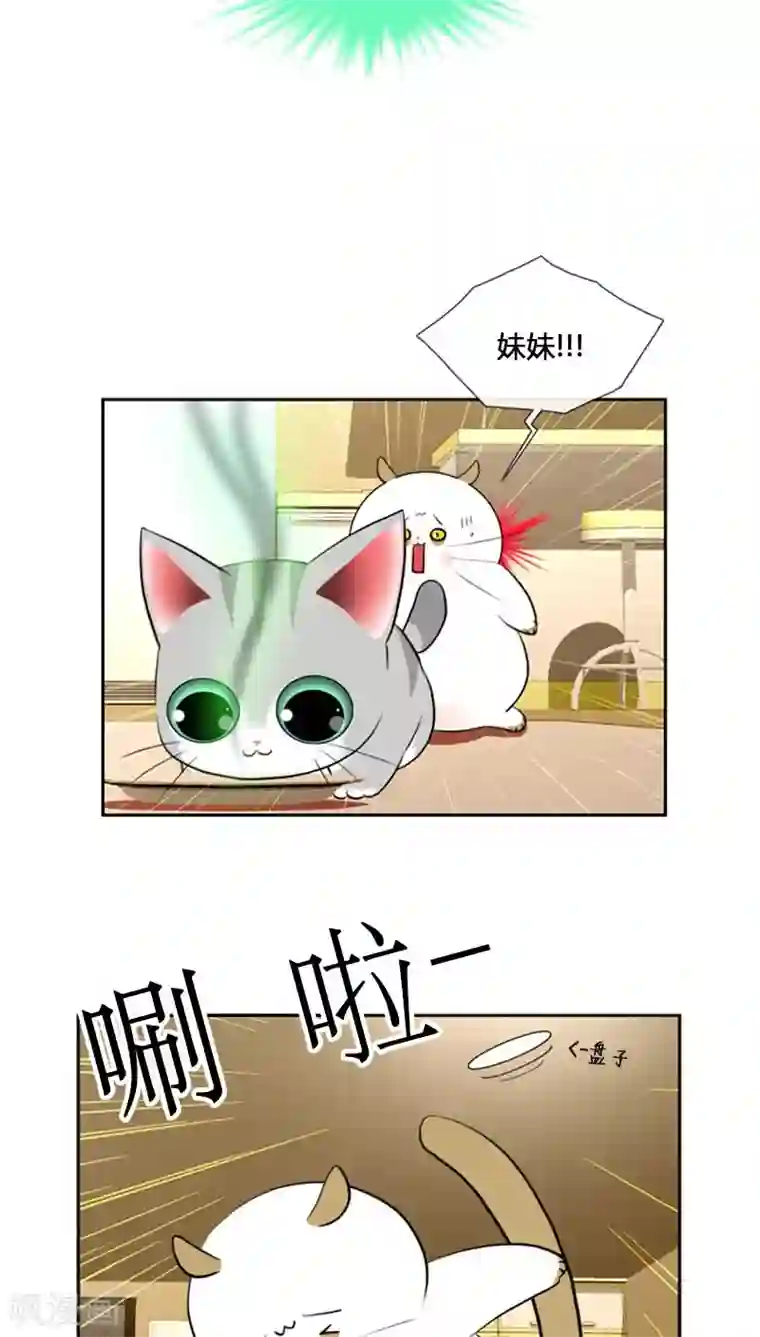 ICE-Cold要员的捡猫事件第79话