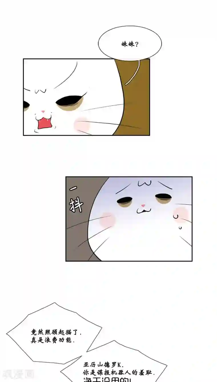 ICE-Cold要员的捡猫事件第79话