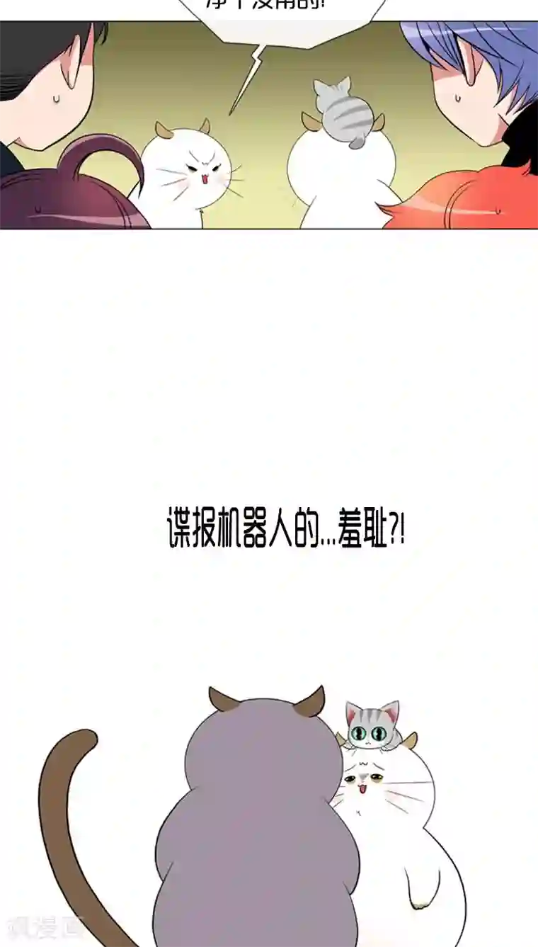 ICE-Cold要员的捡猫事件第79话