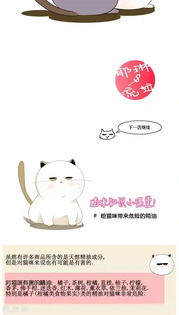 ICE-Cold要员的捡猫事件第79话