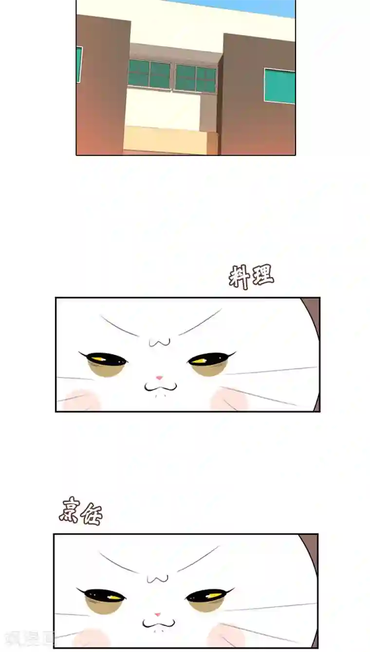 ICE-Cold要员的捡猫事件第80话