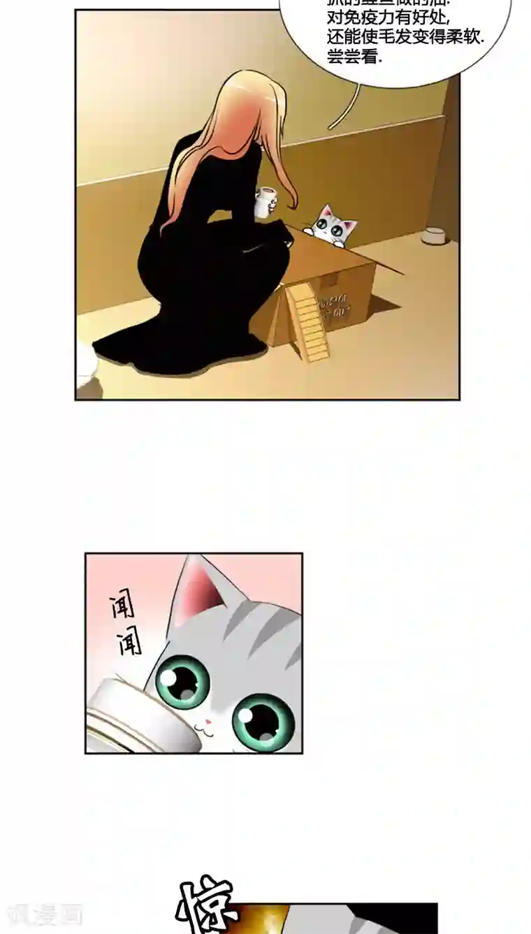 ICE-Cold要员的捡猫事件第80话