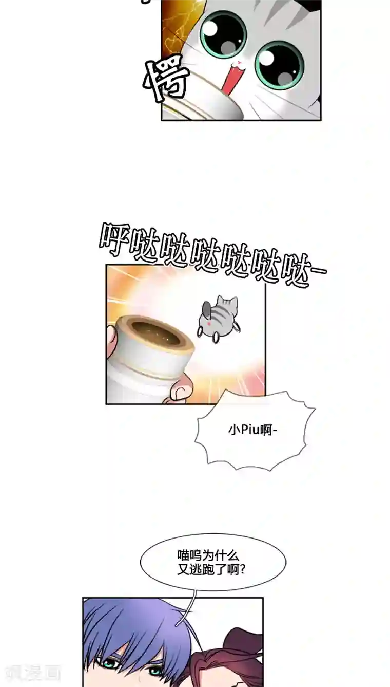 ICE-Cold要员的捡猫事件第80话