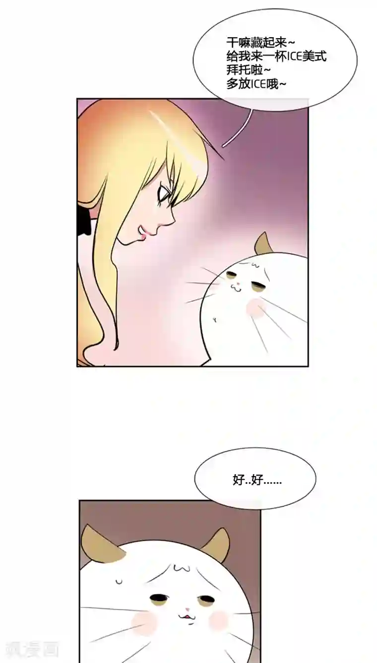 ICE-Cold要员的捡猫事件第80话