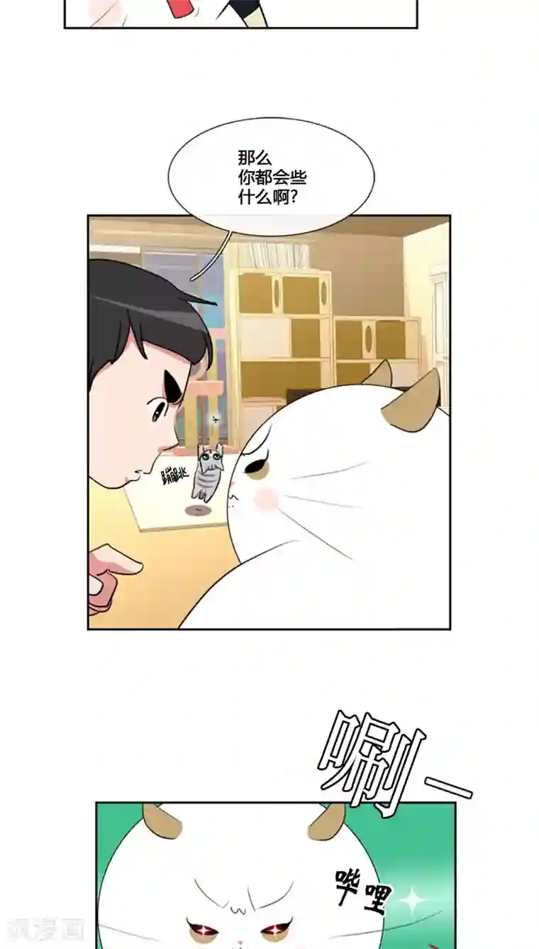 ICE-Cold要员的捡猫事件第80话