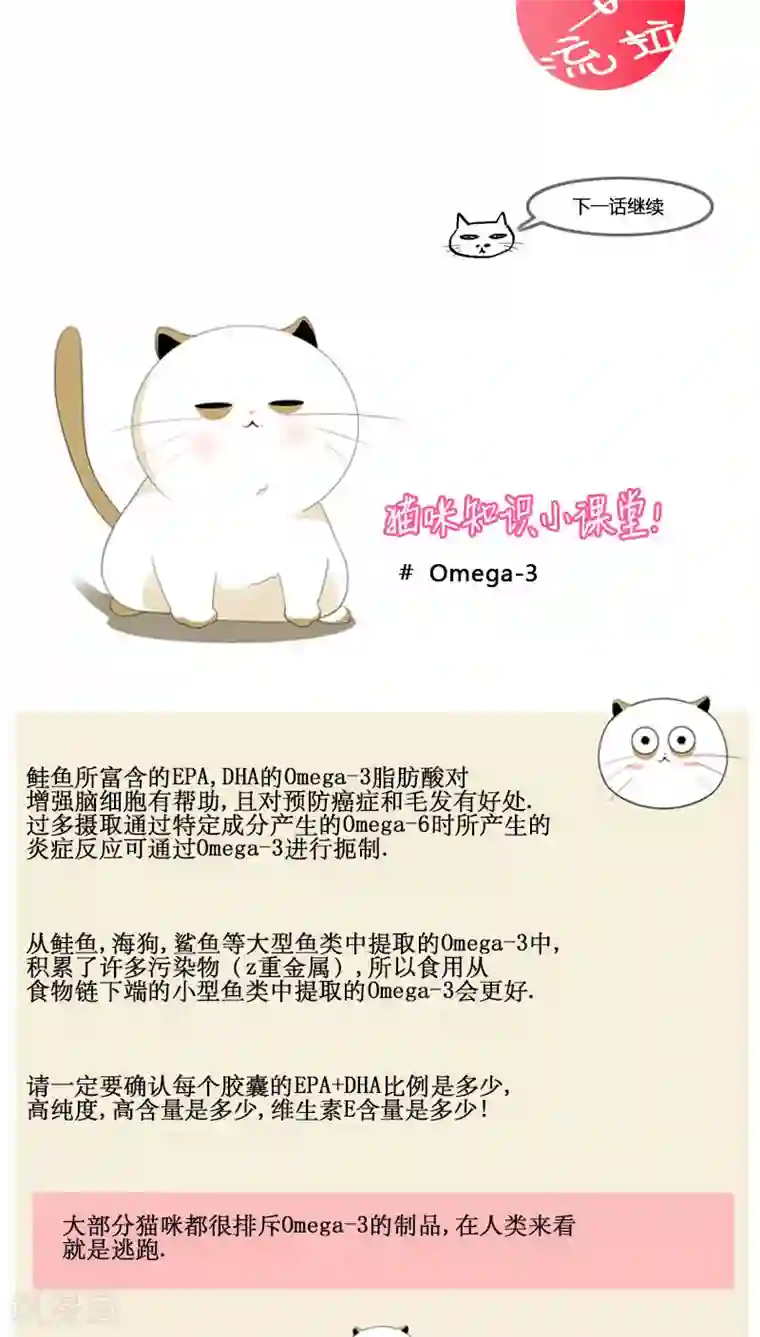 ICE-Cold要员的捡猫事件第80话