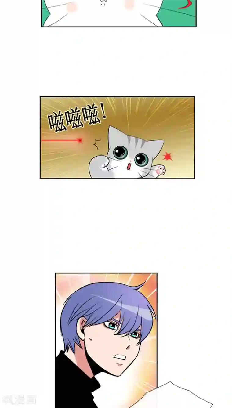 ICE-Cold要员的捡猫事件第80话