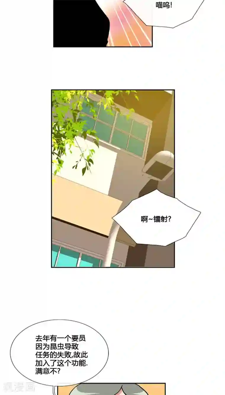 ICE-Cold要员的捡猫事件第80话